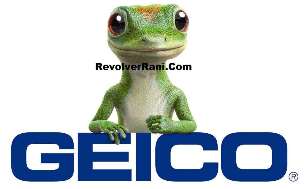 Geico Insurance