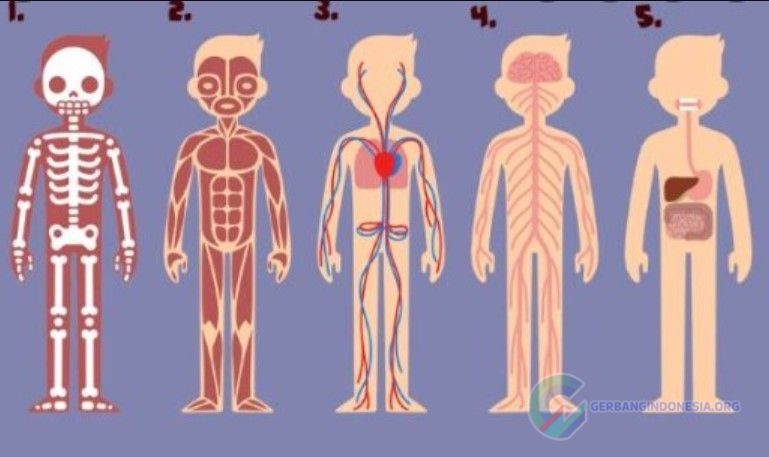 Uquiz Que Tipo De Sentimento Humano Você é