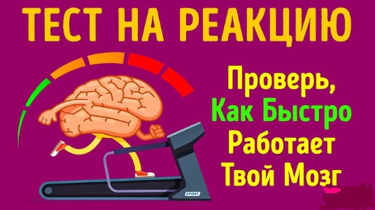 какое ты человеческое чувство Test