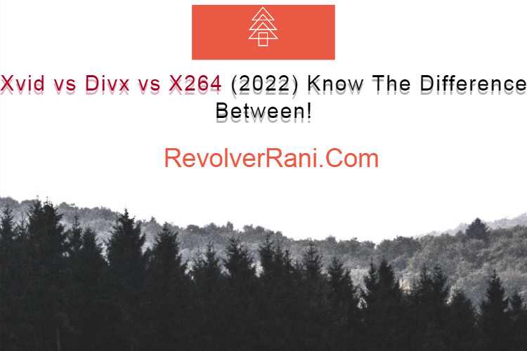 Xvid vs Divx vs X264