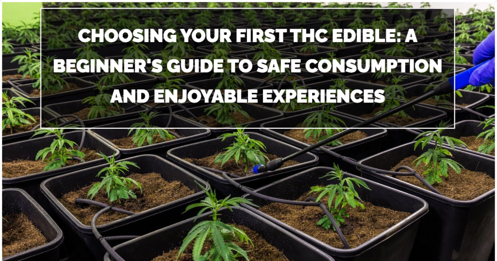 Choosing Your First THC Edible A Beginners Guide to Safe Consumption and Enjoyable Experiences