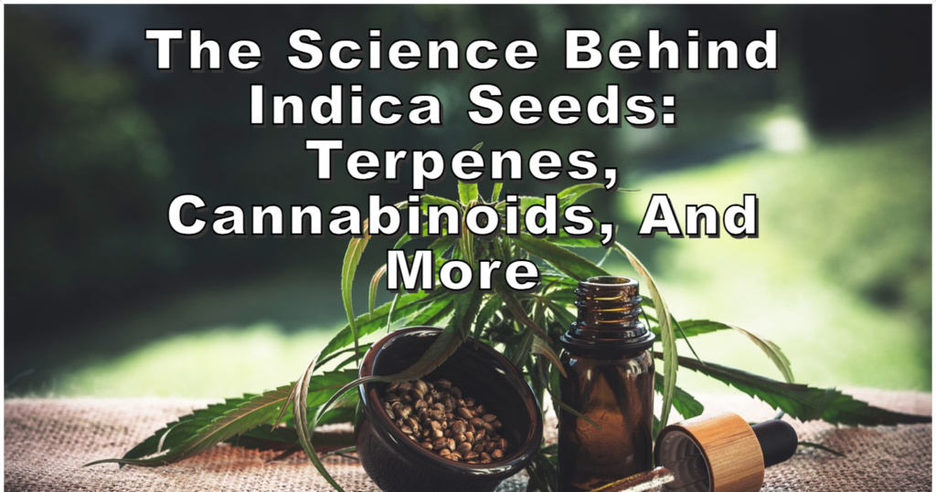 The Science Behind Indica Seeds Terpenes Cannabinoids and More