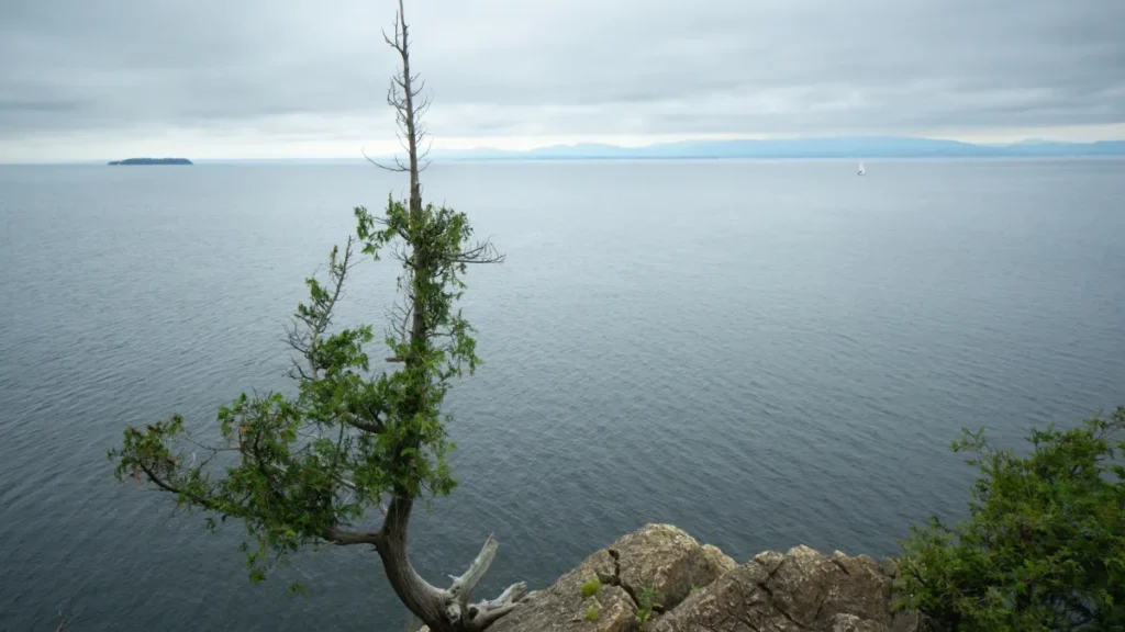 1971 plane crash lake champlain