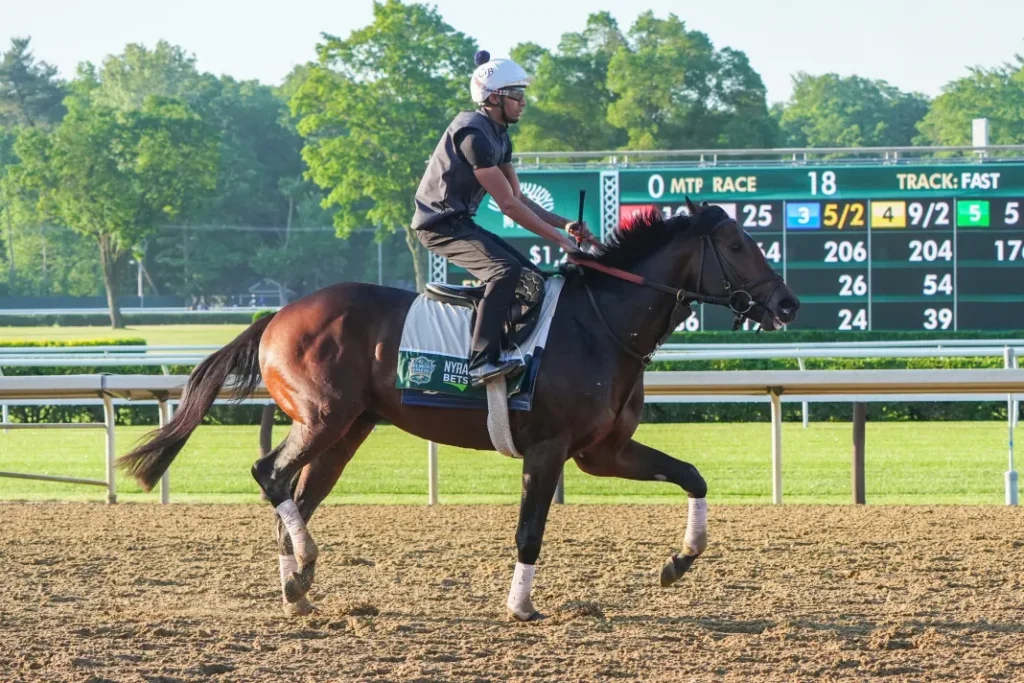 belmont stakes 2024 horses