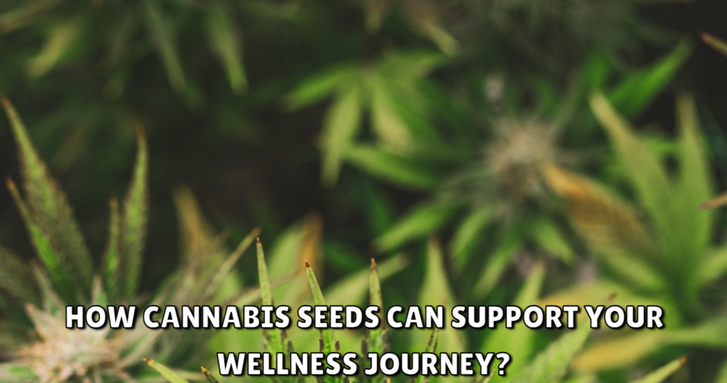 How Cannabis Seeds Can Support Your Wellness Journey?