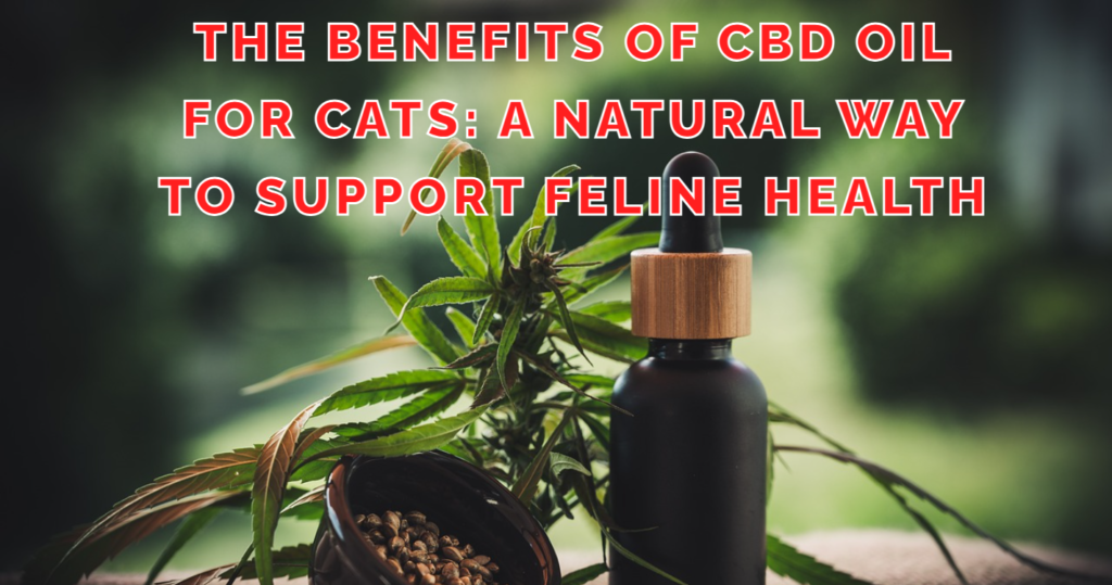 The Benefits of CBD Oil for Cats A Natural Way to Support Feline Health